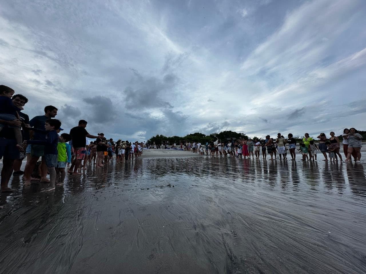La comunidad reunida en la playa para una liberación de tortugas