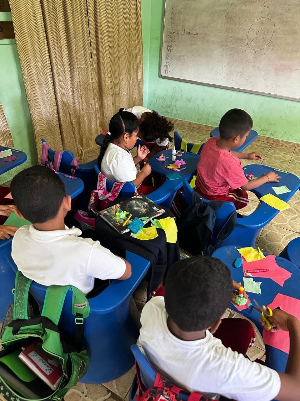 Taller escolar sobre tortugas marinas